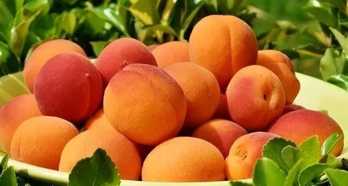 什么是衡量人的体质健康状况，什么是衡量人的体质健康状况的指标（说明免疫力“强大”）