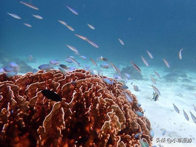 有海的地方哪个比较适合旅游，海边去哪里旅游最好（海岛旅行度假首选）