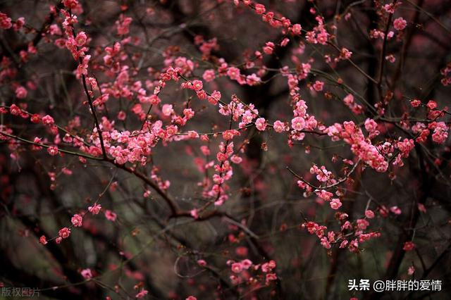 不辜负时光不辜负自己的句子，不辜负时光不辜负自己的句子有哪些（勿忘初心；好好爱自己）