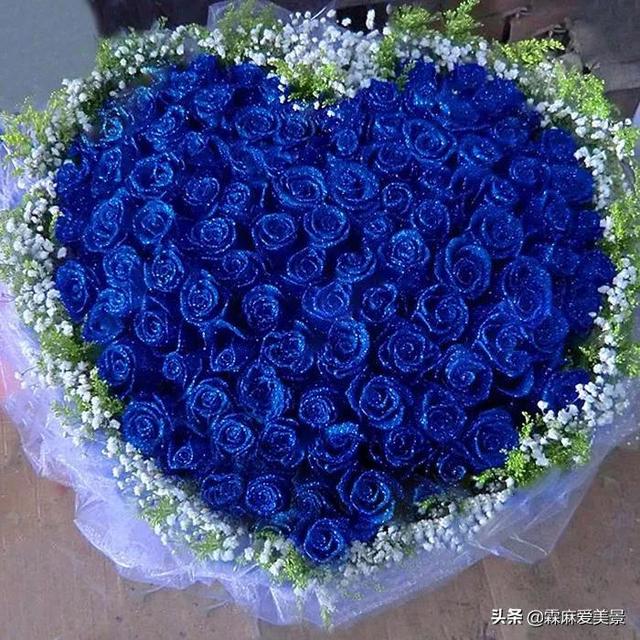 蓝色妖姬花语，分享图片—醉美的蓝色妖姬（蓝色妖姬花语文案）