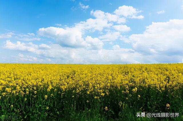 潼南旅游景点，马龙山（3月重庆最大的油菜花海—潼南崇龛油菜花赏花踏青“避坑”指南）