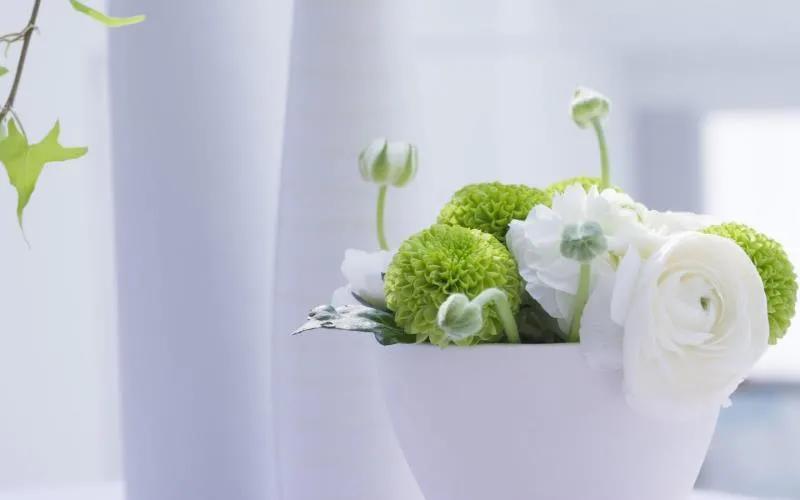 保护眼睛的桌面壁纸，经常对着电脑眼睛疼怎么办（保护眼睛从我做起…）