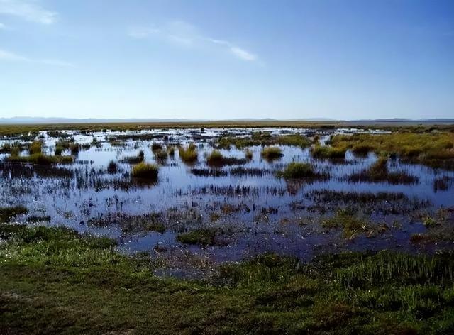 红军过草地是什么地方，爬雪山过草地路线图（红军当年长征走过的草地）