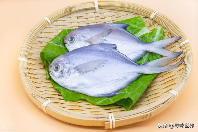 鲷鱼是什么鱼，脆肉鲷鱼是什么鱼（春夏季海鱼9大排名来了）