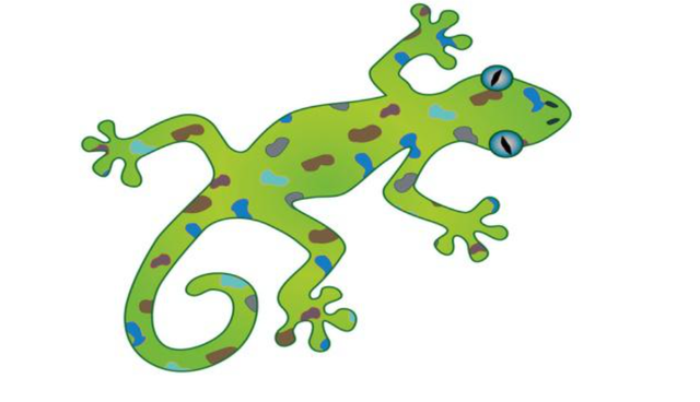 壁虎的寿命，壁虎的寿命有10年吗（为何能位居“五毒”之一）