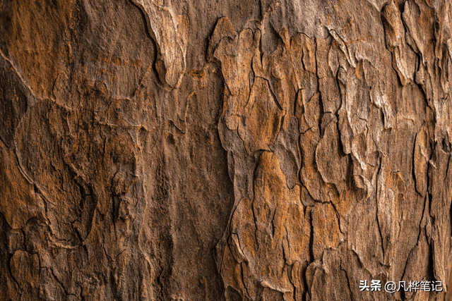青色和蓝色的区别图片，青色和蓝色是什么颜色的图片（在照片中创造性地使用色调对比）