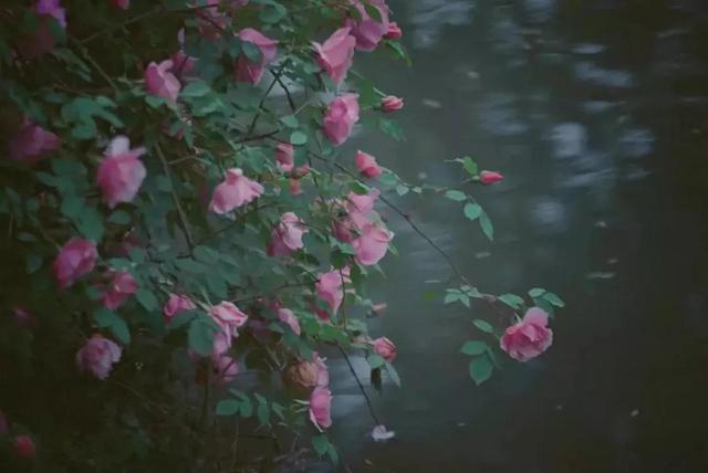 朋友圈显示三天可见是被屏蔽了吗，朋友圈显示三天可见是被屏蔽了吗知乎（“朋友圈”设置三天可见的人）