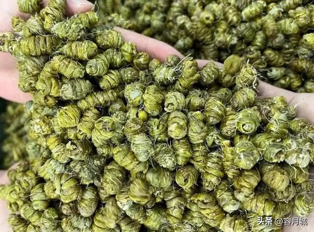 铁皮石斛多少钱，石斛多少钱一斤（九大仙草之首“石斛”）