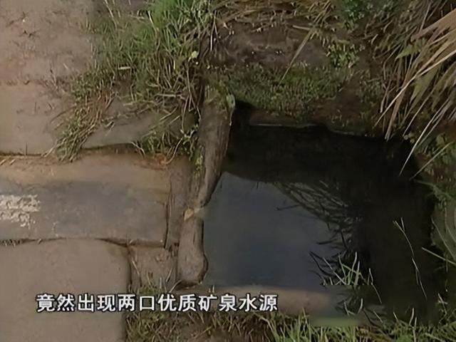 水沉香的功效 具体有哪些作用呢，水沉香的功效（四川古村发现两口怪井）