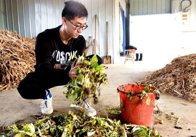 三支一扶有编制吗，2年服务期满可转事业编制