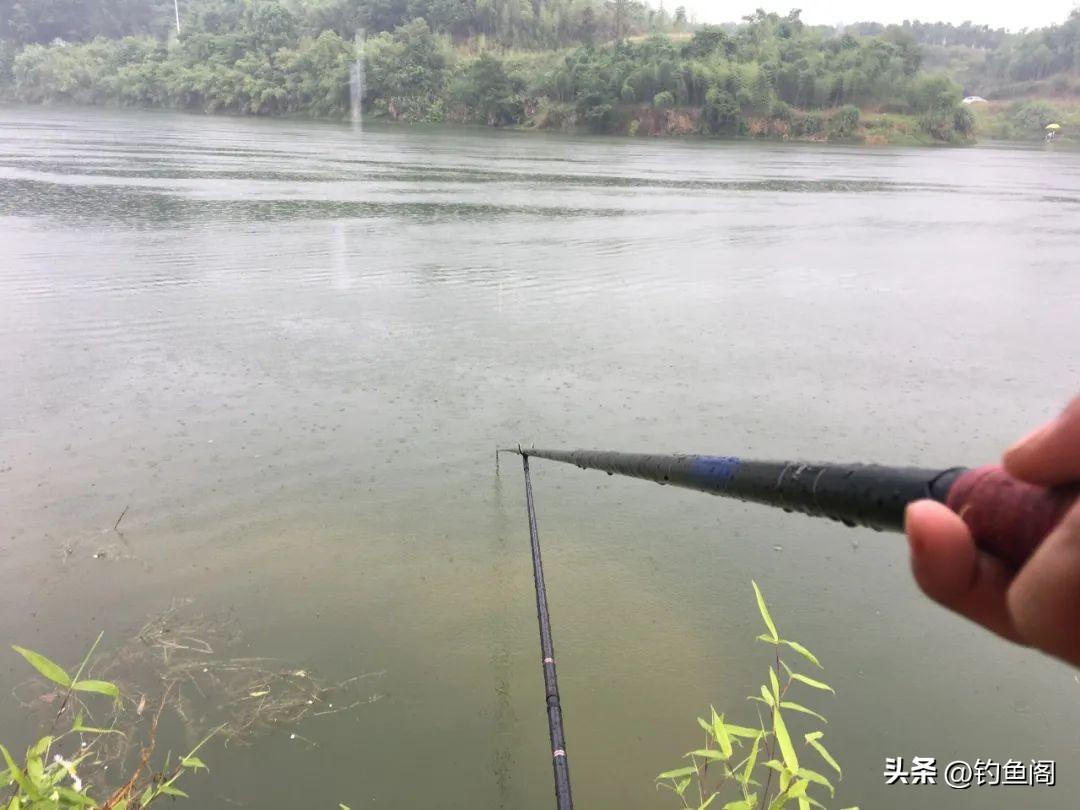 钓鲤鱼的方法和注意事项，守钓鲤鱼是最“笨”的办法