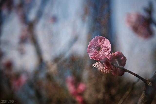 鸦青色是什么颜色（中国传统颜色的雅称有哪些）