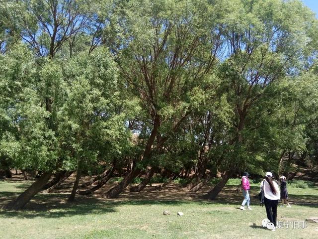 乌兰察布旅游景点，乌兰察布旅游必去十大景点（乌兰察布周边都有哪些好玩的地方）