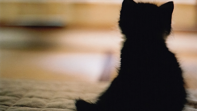 经常感觉胸闷气短是怎么回事，时常感到胸闷气短是怎么回事（或是肺功能下降导致的）