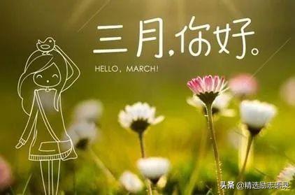一生相守的经典句子，一生相守的经典句子短句（与二月挥手，与三月相守）