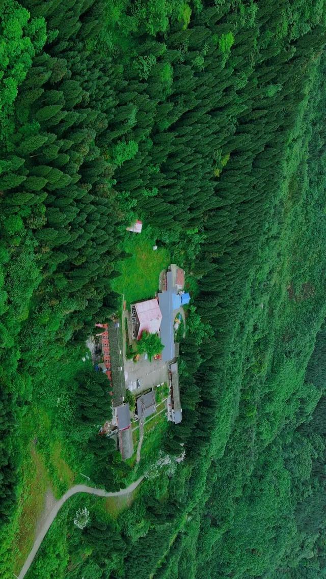 什邡市景点，什邡景点旅游景点（成都周边绝美“禁林”）