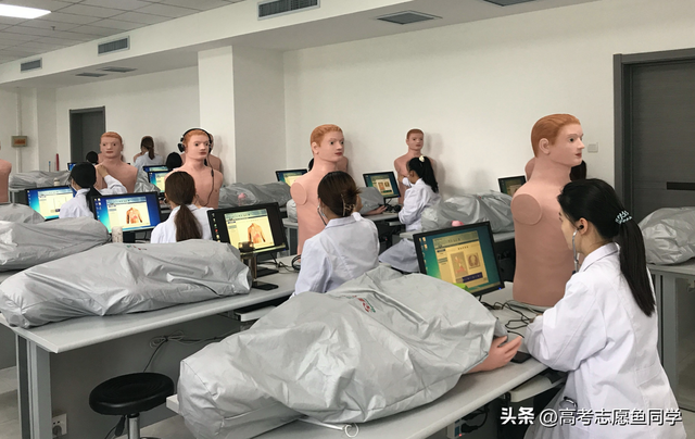 公共管理类专业有哪些，公共管理类包含的专业有哪些（十大最热门的“专科专业”）