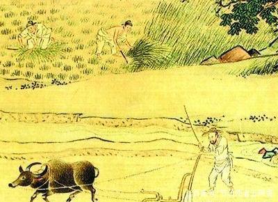 禾稻的意思是什么，禾稻的意思解释是什么意思（今年壬寅年，今年年景啥样）