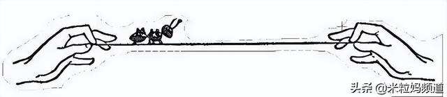 四年级必看10本课外书，四年级必看的10本课外书是什么（4-6年级最适合的阅读书单）