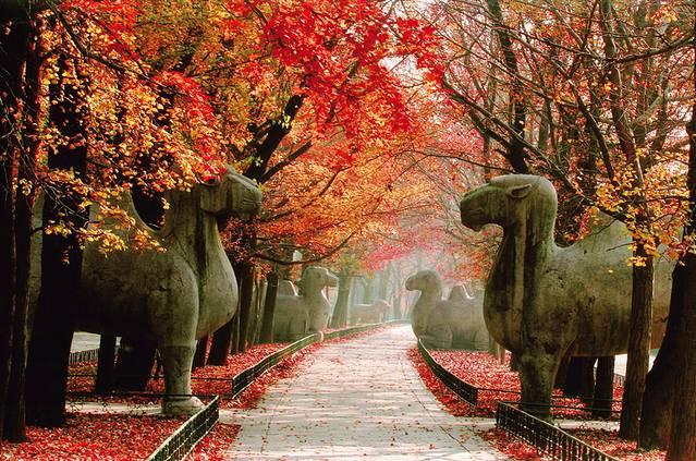 南京文化遗产及文化旅游，用4天3晚游玩江苏南京