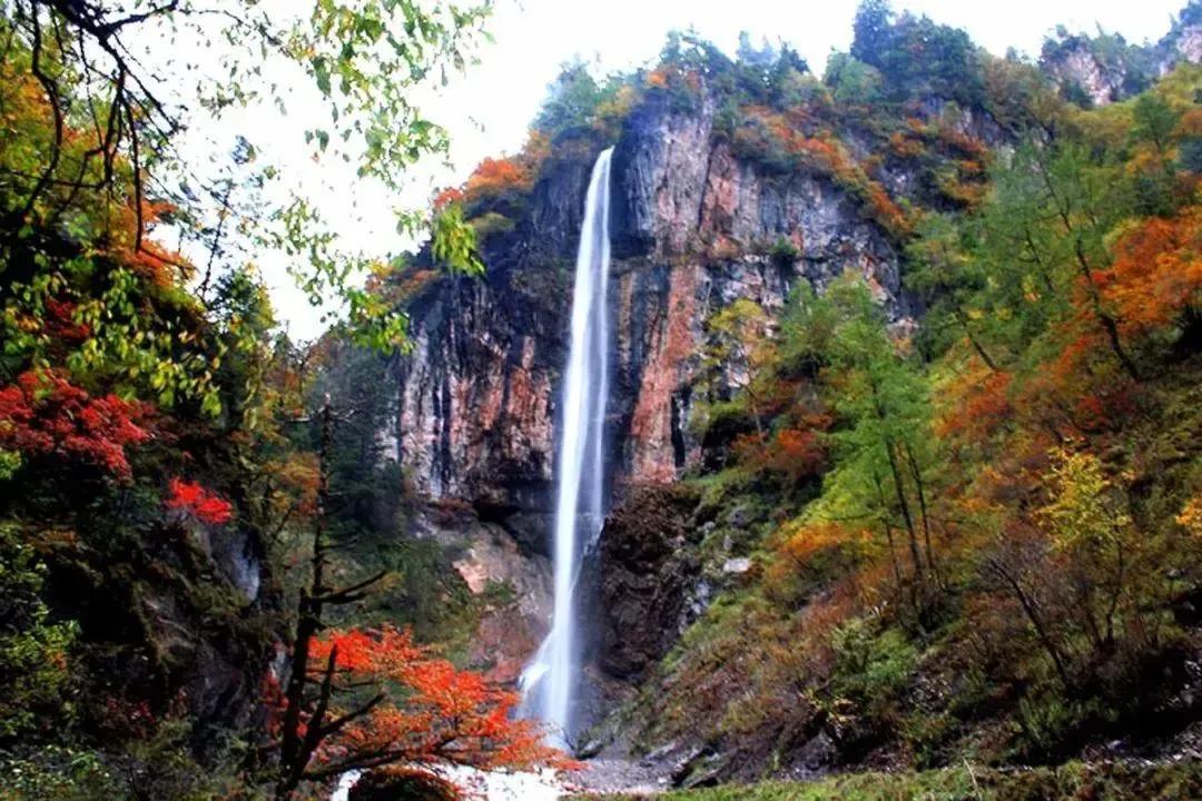 官鹅沟国家森林公园由官珠沟,鹅嫚沟,木隆沟,庙沟等景区组成,集森林