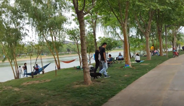 郑州一日游必去的地方，郑州景点排行榜（2022郑州夏季最值得去的六大景点推荐）