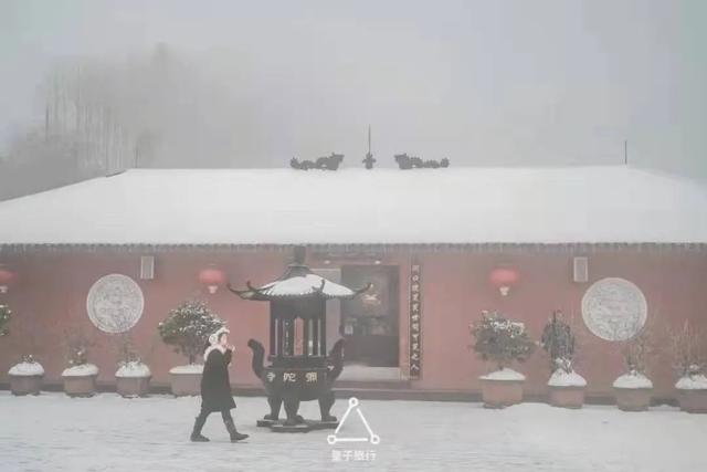 千佛山森林公园，千佛山在哪（不收门票的5个成都周边“小森林”）