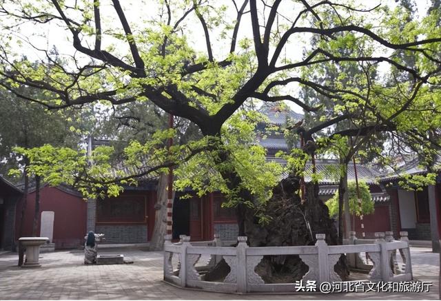 定州古城的景点，定州为什么这么多景点（想和你在定州古城见一面）