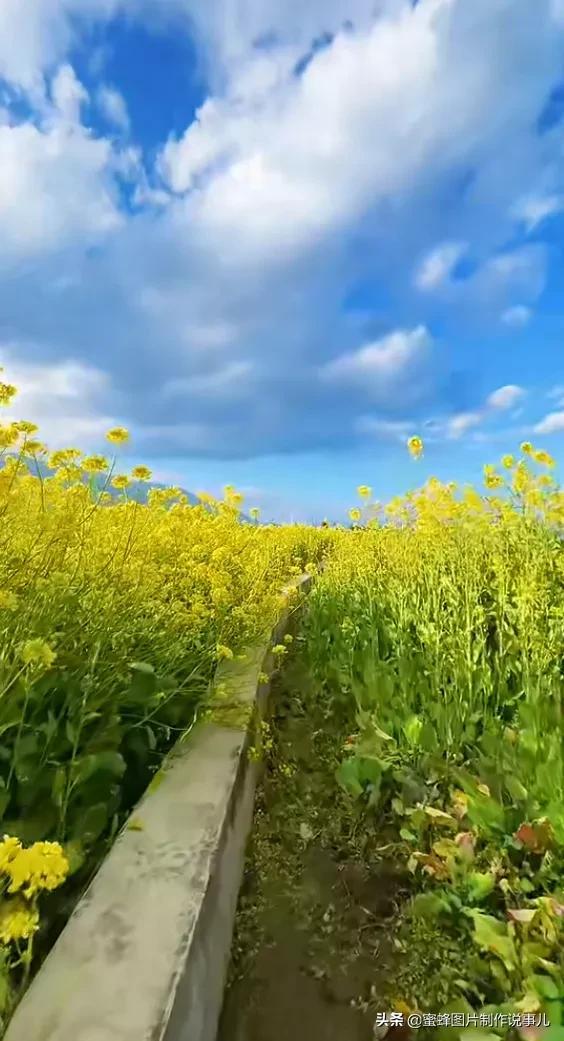 精选唯美养眼大自然风光图片壁纸,壁纸图片 风景 绿色 养眼(大自然