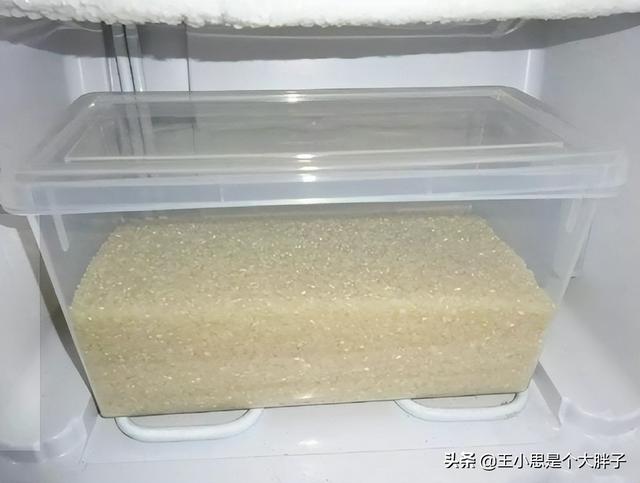 大米生虫子处理小诀窍，大米生虫子处理小诀窍是什么（米行老板教你5招）