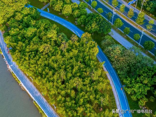 广州哪里可以看海，广州旅游看海的地方（广州这些“无敌海景”碧道藏不住了）
