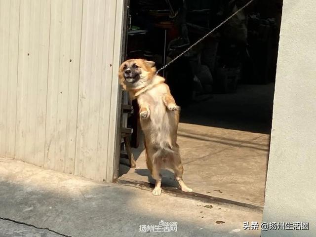 扬州市哪个区比较繁华，扬州市哪个区比较繁华点（你好，瓜洲，重新认识一下）