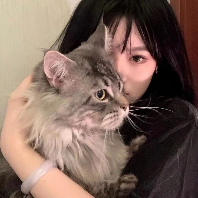 猫系女孩，微信头像，猫系女孩（女生头像：抱猫头像）