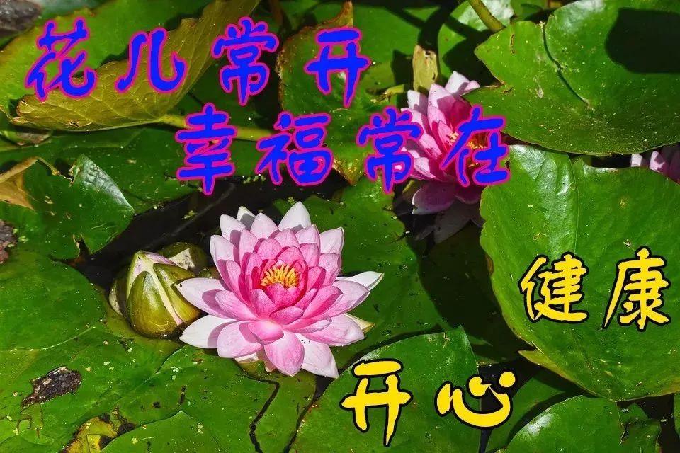 幸福的句子短句（幸福最暖心短句）