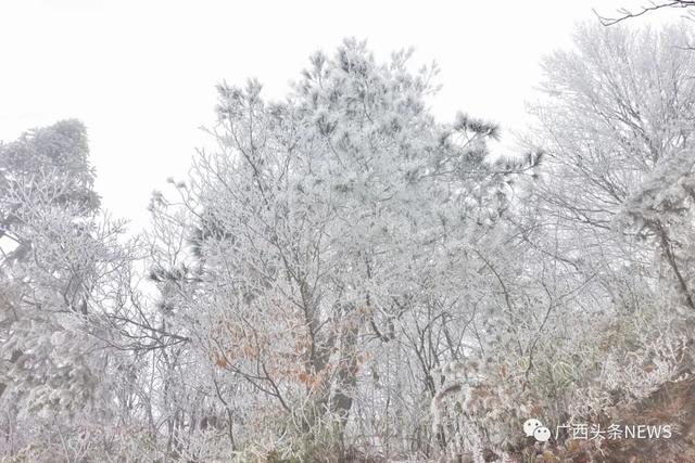 天气预报明天穿什么，明天建议穿什么衣服（但22日起又有一股冷空气）