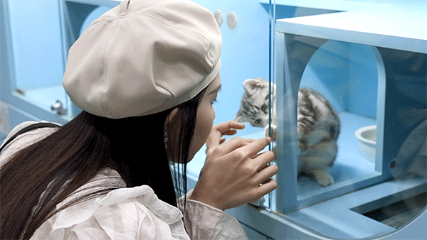 深圳海洋世界攻略，海洋馆、水秀剧场、梦幻巡游…在这里全都有