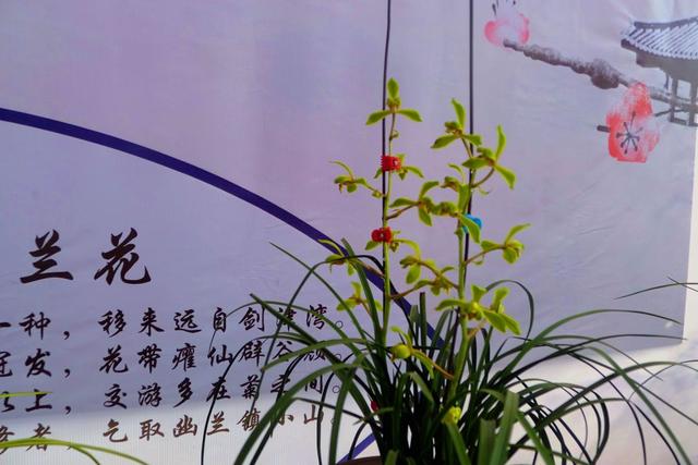 会计二级科目明细表，会计二级科目明细表模板（会计科目设置管理规范）