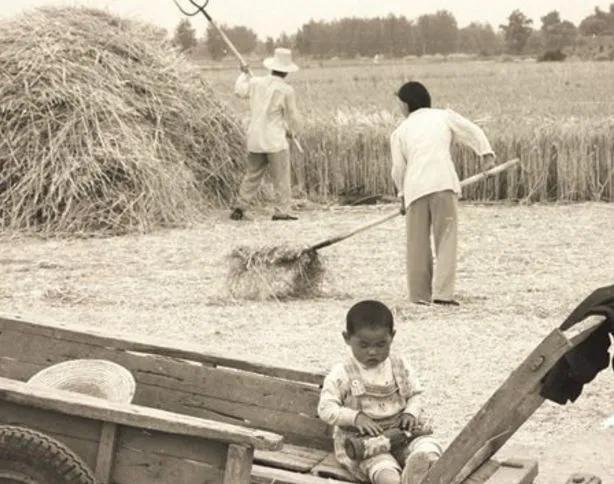 小河流水哗啦啦顺口溜，儿童顺口溜（儿时被遗忘的顺口溜）