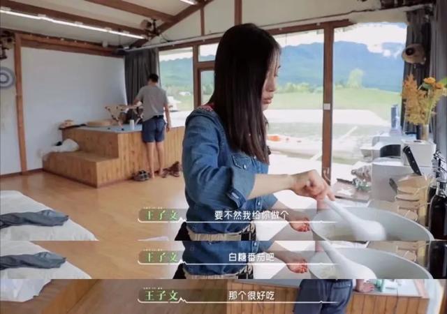 王朔与王子文私下关系，与贾乃亮传绯闻多年、未婚生子