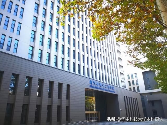 随州电视台，随州电视台综合一（这对双胞胎“学霸兄弟”）