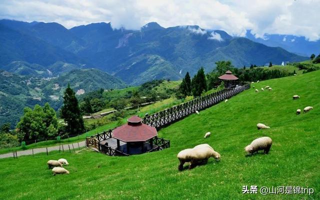 亲子游去哪里玩比较好，暑期亲子游（国内最具特色的十大亲子农场推荐）
