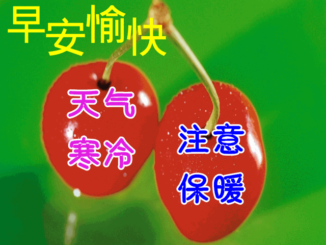 励志早安心语正能量，每天励志正能量早安语（正能量生活语录句子）
