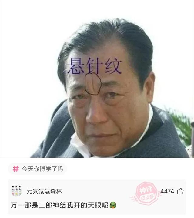 dcb什么意思，网络语dcb是什么意思（这裙子设计灵感来自于哪）