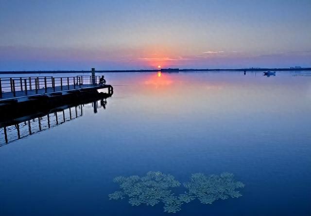 阳澄湖吃大闸蟹正宗的地方-莲花岛