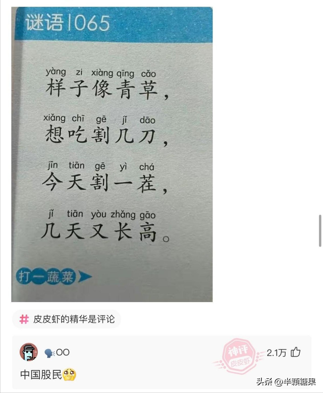 第一次坐飞机的来看看，临时身份证如何登机（你第一次坐飞机是什么体验）