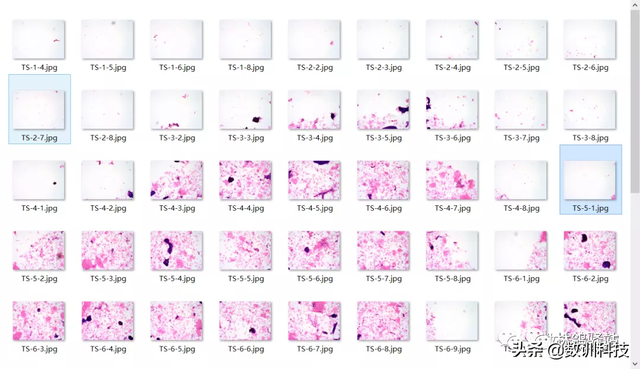 数据标注怎么做，数据标注怎么做的快（入行数据标注必须要了解到相关基础知识）