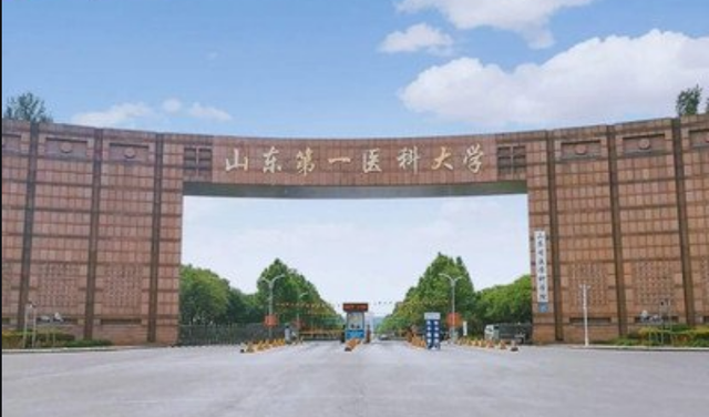 山东医学院排名，2020潍坊医学院排名_2020版排名（山东第一医科大学和青岛大学医学院差距有多大）