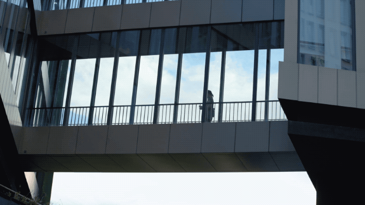 复旦大学哲学系，复旦大学哲学系就业前景如何（百万年轻人追捧：说到了心坎上）