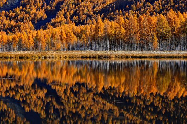 冬天去哪旅游比较好，冬天去什么地方旅游好（五大最美赏秋胜地）
