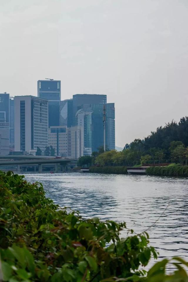 深圳旅游景点大全介绍，深圳的旅游景点有哪些地方（来深圳这10个地方玩吧）